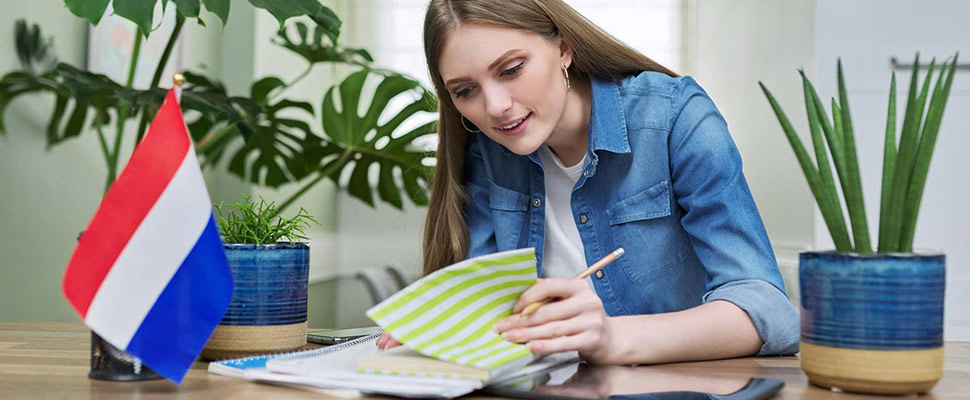 formation-neerlandais-intermediaire formation-neerlandais-intermediaire